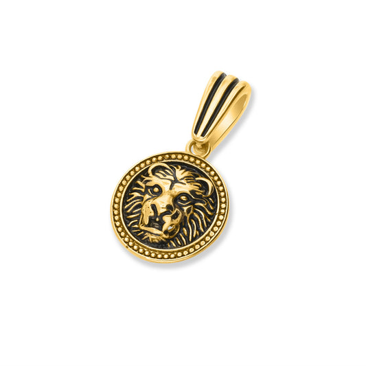 18K Gold Filled Highlighted LION OF JUDAH Round Pendant & Chain Israel Necklace Gift From Jerusalem